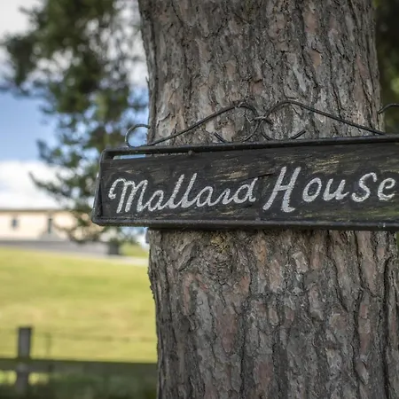 Tatil Evi Mallard House *